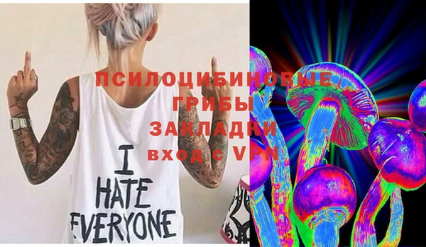 молекула духа Аркадак