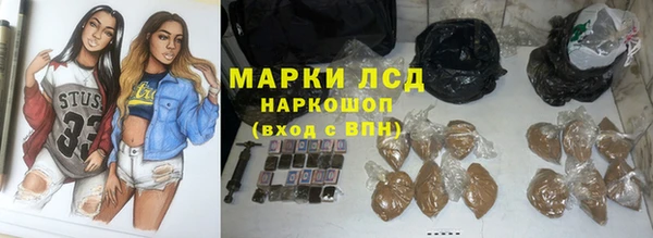 сатива Арсеньев
