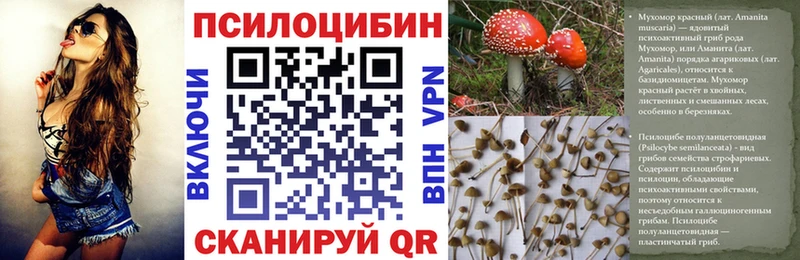 Псилоцибиновые грибы MAGIC MUSHROOMS Мещовск